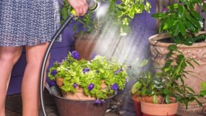 How to maintain your garden by choosing the best watering system?