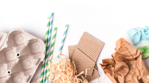 Why Molded Pulp is the Future of Packaging