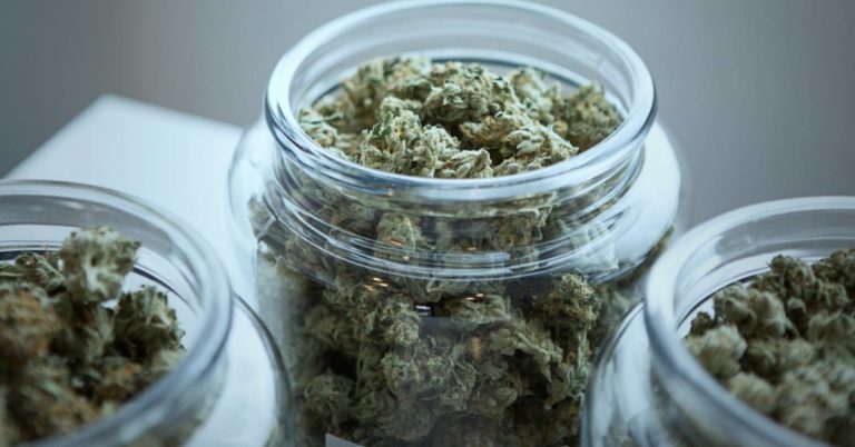 Get to Know the Medical Marijuana Dispensary Laws in Florida