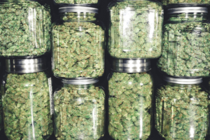 5 Ways to Make Your Cannabis Store Standout From the Competition