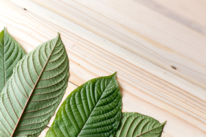 What Are the Different Types of Kratom That Exist Today?