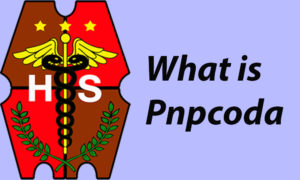 All Things To Know About PNPCODA ( Account Creation, Advantages, and Disadvantages)