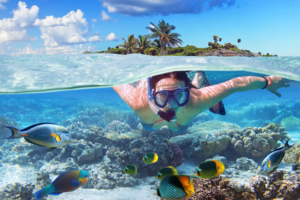 5 Reasons to Go Snorkeling in Hawaii