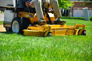 How to Avoid the Most Common Lawn Care Mistakes at All Costs