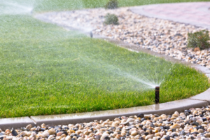 This Is How to Choose the Best Sprinkler Pump