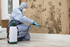 Live Healthy With Excellent Mold Remediation Services  