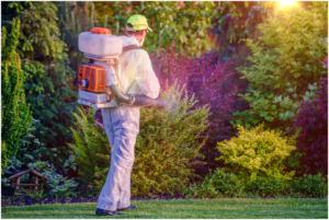 How to Take Command of Your of Garden Pest Control