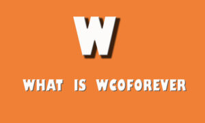 Wcoforever For Anime – What is The Hype About?