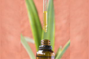 Buy CBD At wholesale Prices: An Overview!