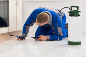 3 Warning Signs You Need Emergency Pest Control ASAP!