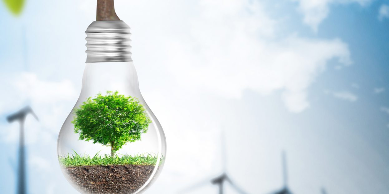 Easy Ways to Reduce Your Energy Consumption