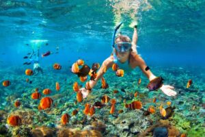 Make Snorkeling in Kona a Dream Come True