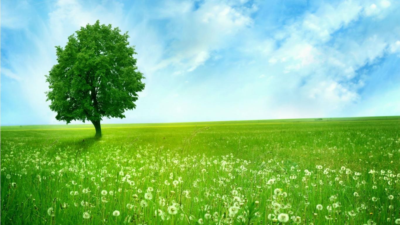 Top 4 Ways to be More Environmentally-Friendly in Your Dental Practice