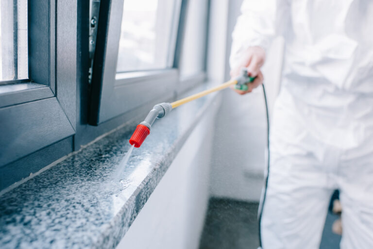 Why Shouldn’t you do DIY Pest Control and Hire Professionals?