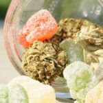 Why CBD Gummies Are a Popular Choice for Relaxation in Canada