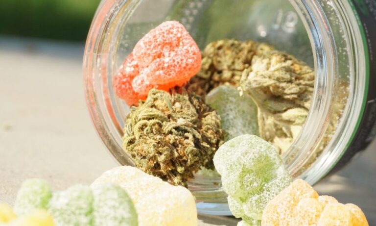 Why CBD Gummies Are a Popular Choice for Relaxation in Canada