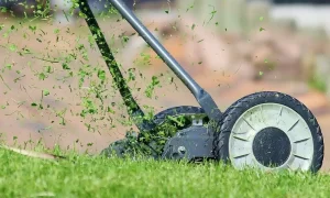 A Comprehensive Guide to Purchasing the Best Mowers for Tennessee Lawns