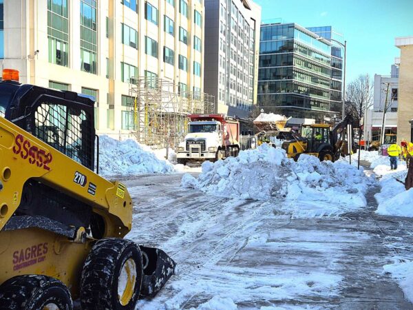 How Federal Employees in Arlington and Northern Virginia Should Respond to a Proposed Removal