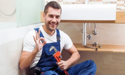 Why Choosing Experienced Plumbing Professionals Makes A Difference In Cremorne?